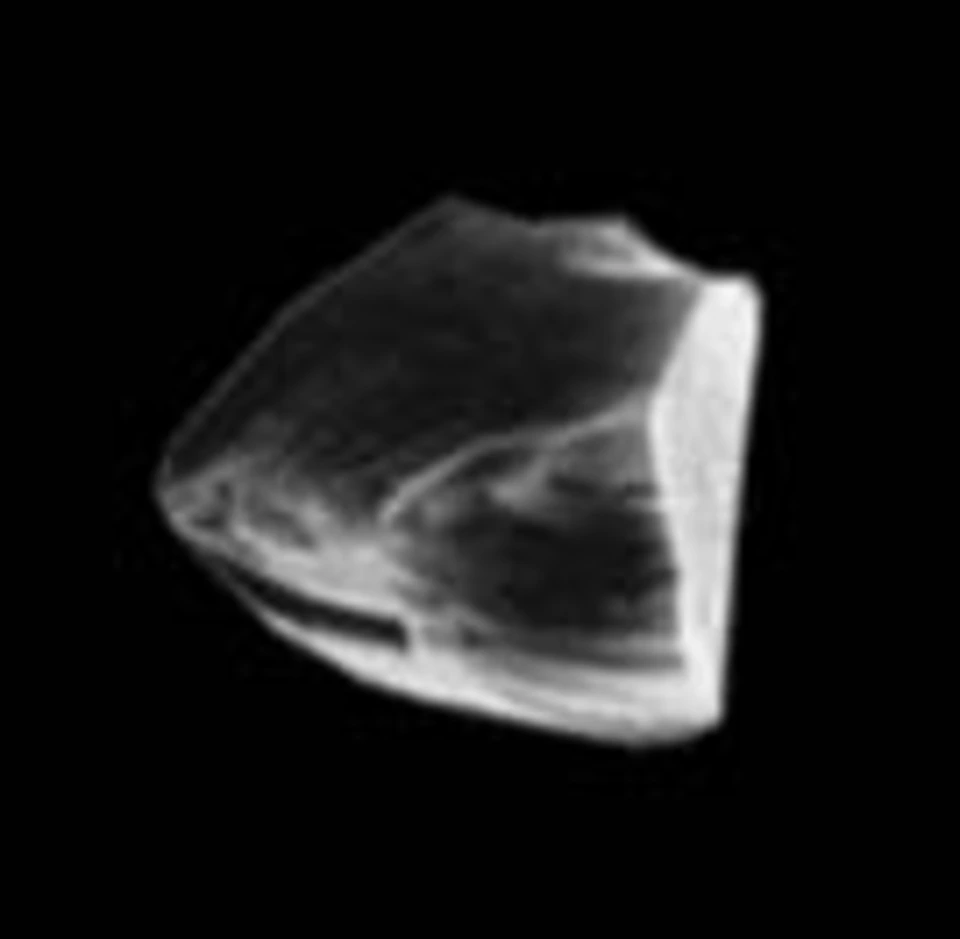 NAT-MY 0-0.25 à 54-80