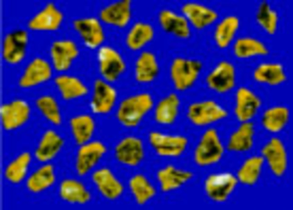 PM (PM 30N, PM 55N, PM 50C)